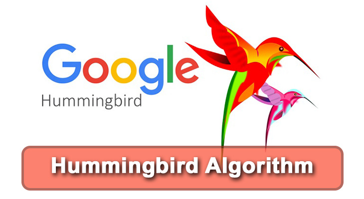 Hummingbird Algorithm | الگوریتم گوگل